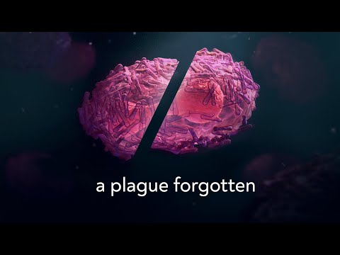 Defeating a Virus That Killed Half a Billion People – The Plea