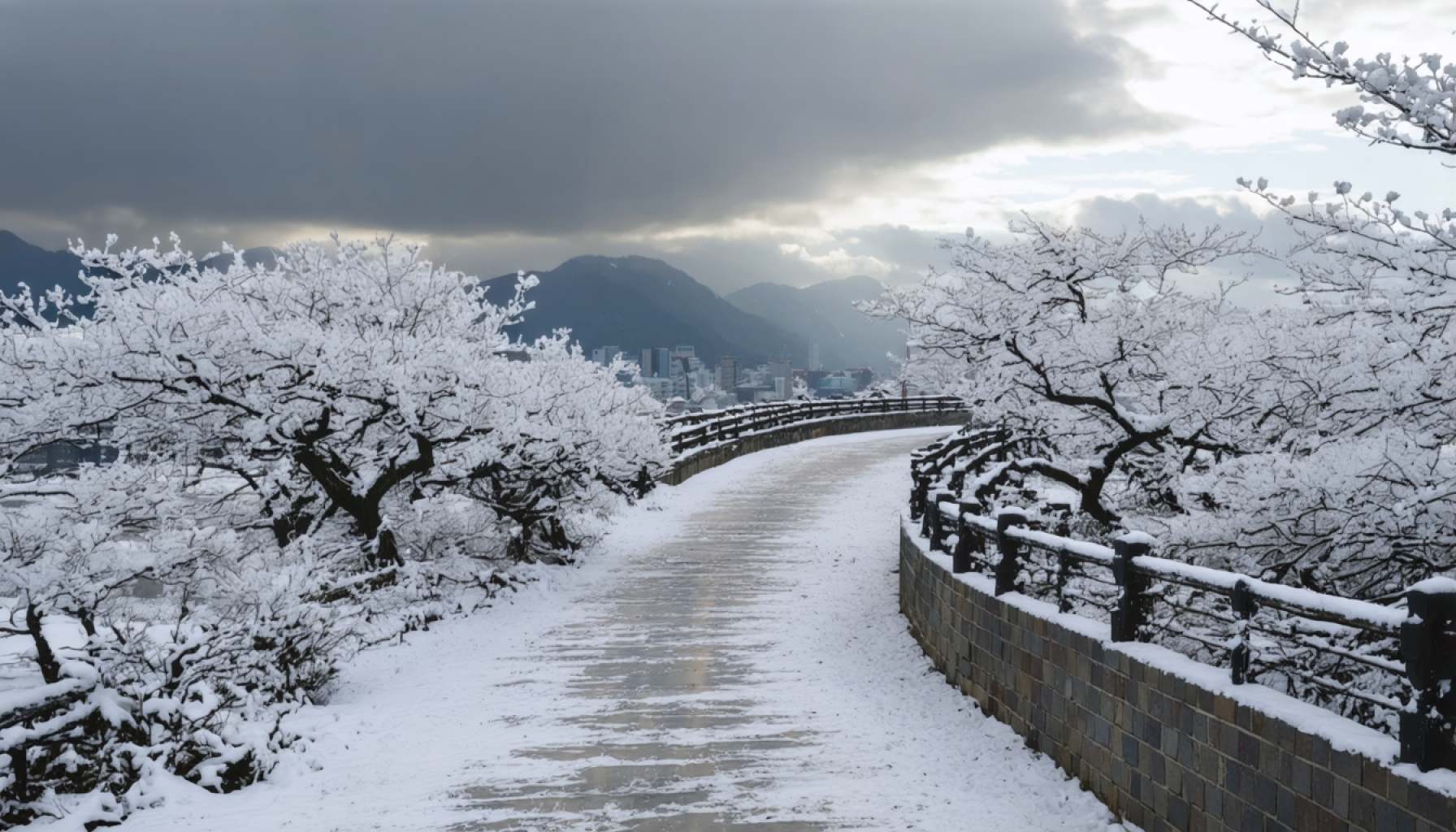 South Korea’s Weather Takes a Wintry Turn Amid Sweeping Winds and Sleet
