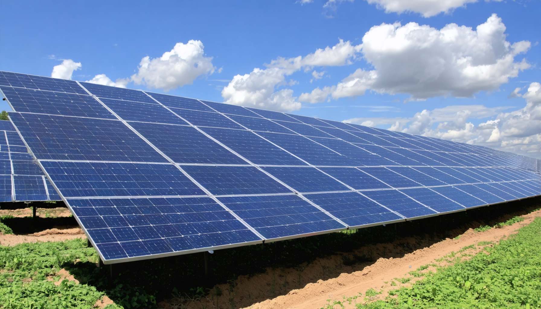 Massive Solar Farm Sparks Blazing Debate Over Norfolk’s Future